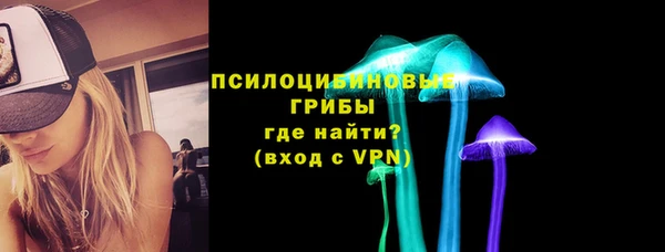бошки Абаза