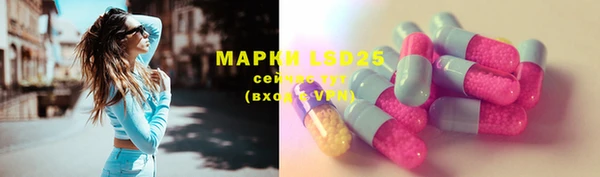 ПСИЛОЦИБИНОВЫЕ ГРИБЫ Алзамай